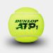 Dunlop, pelota oficial de la Copa Davis