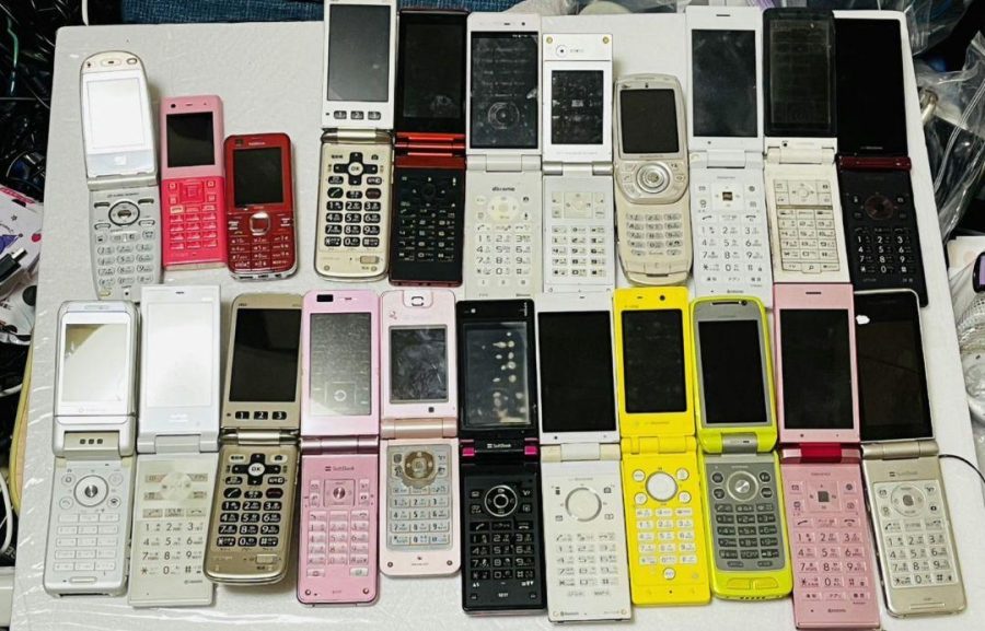 telefonos almeja