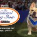 ¡Celebra el Día de Acción de Gracias con Top Dog Energy!