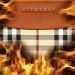 Burberry Destruye 37 Millones en Ropa