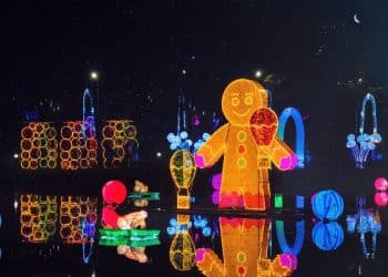 El reino de los dulces, Centro Chía brilla como ícono
