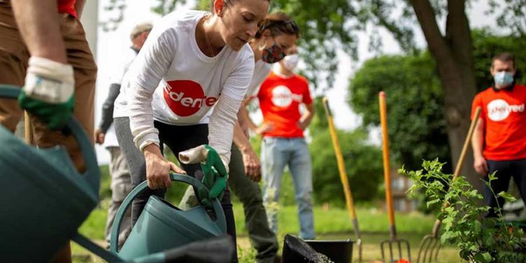 Colaboradores de Edenred sembrando y regando plantas