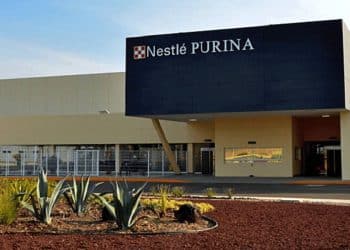 Renfe amplía rutas ave para perros grandes con Nestlé Purina