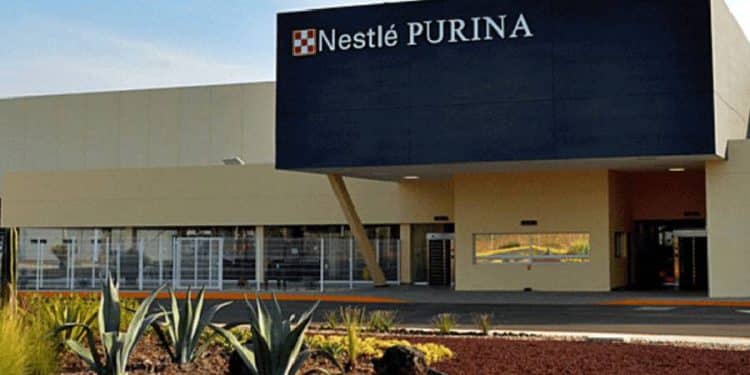 Renfe amplía rutas ave para perros grandes con Nestlé Purina