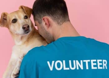 Una herramienta para la adopción y búsqueda de mascotas desarrollada por la UNLP