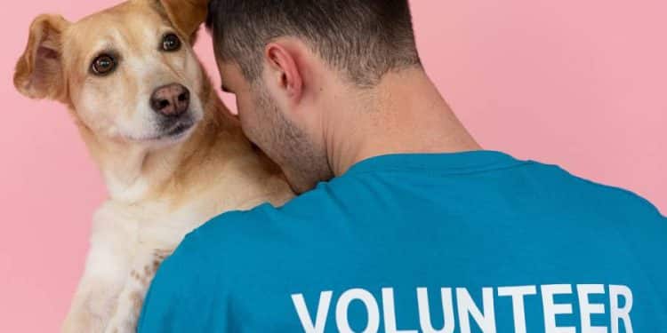 Una herramienta para la adopción y búsqueda de mascotas desarrollada por la UNLP