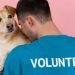 Una herramienta para la adopción y búsqueda de mascotas desarrollada por la UNLP