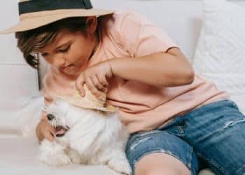 La raza de perro más cariñosa según la ciencia reciente