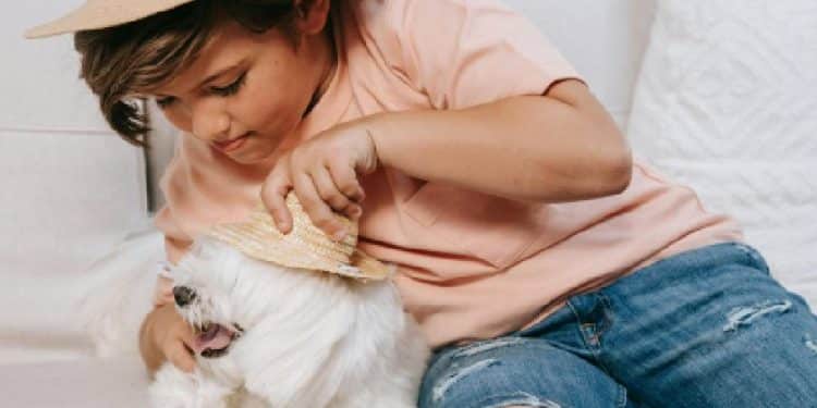 La raza de perro más cariñosa según la ciencia reciente