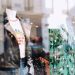 Semana de Expansión y Desafíos en el Sector de Moda en España