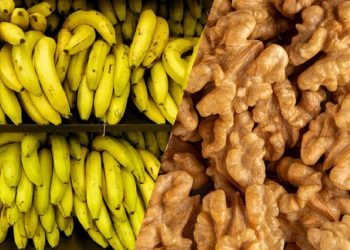 La agroindustria brasileña expande sus fronteras
