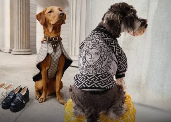 El mercado de lujo para mascotas se ha consolidado como un segmento en auge