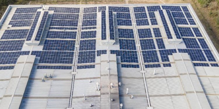 Auteco y su compromiso con un futuro sostenible