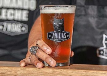 Cerveza artesanal 7 vidas
