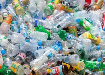 España avanza hacia la devolución de envases en 2026