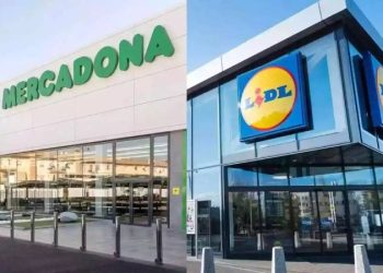 El duelo del retail: Mercadona y Lidl dominan el 2025