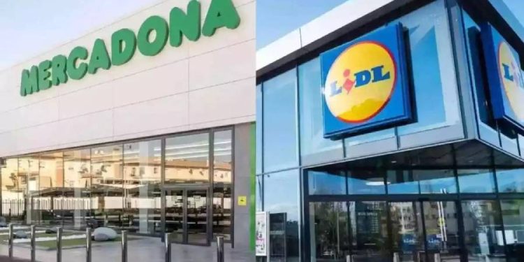 El duelo del retail: Mercadona y Lidl dominan el 2025