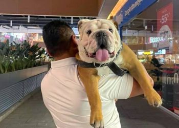 Estas son las plazas comerciales de la CDMX que aceptan mascotas