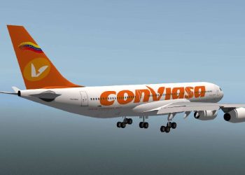 Estos serían los requerimientos para viajar con tu mascota a través de Conviasa