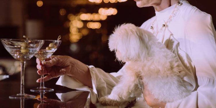 Cinco restaurantes en Bogotá denominados pet friendly