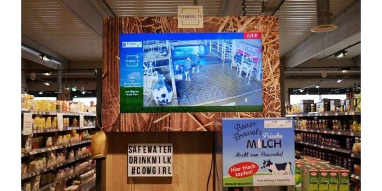 Transparencia en el Retail: Conectando Consumidores y Productores