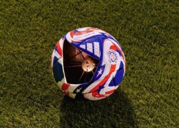 Adidas presentó la pelota oficial del Mundial de Clubes FIFA