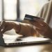 El ecommerce en España alcanzó más de 24.000 millones en el tercer trimestre de 2024 comercio digital