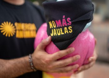 Grandes cadenas de restaurantes en la mira