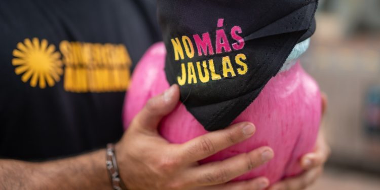 Grandes cadenas de restaurantes en la mira