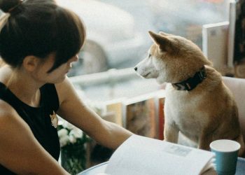 La experiencia única de tomar café con tu mascota en Lomas