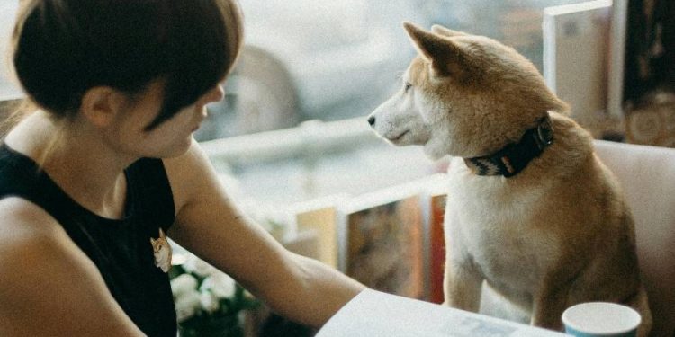 La experiencia única de tomar café con tu mascota en Lomas
