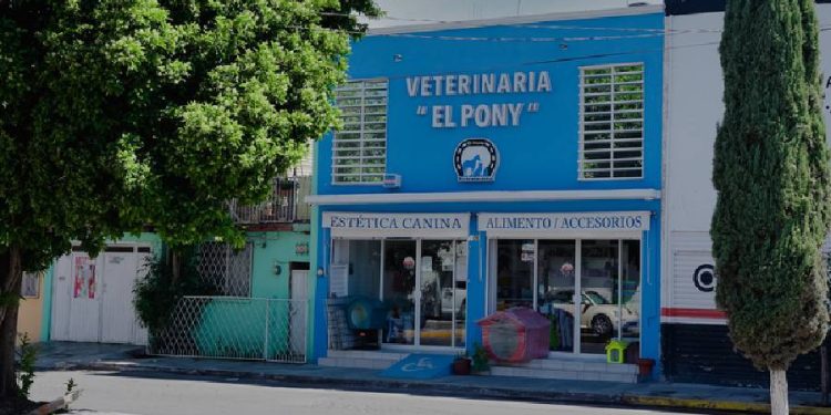 El Pony se posiciona en la industria veterinaria con su nueva sede en San Francisco
