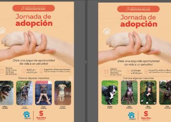 Para darles una segunda oportunidad: Jornada de adopción en Chile