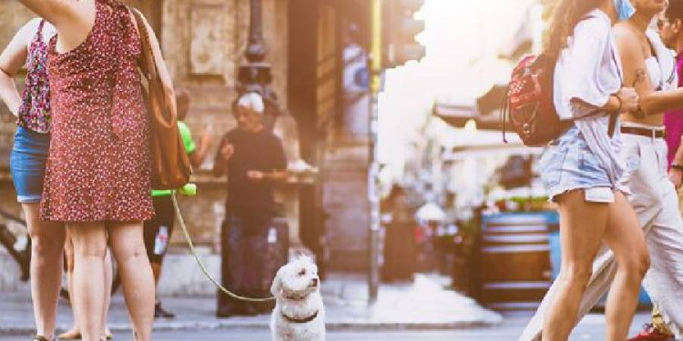 Tráfico comercial: un nuevo capítulo para el retail en España