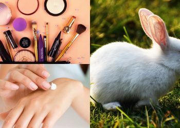 testeo en animales cruelty free cosméticos