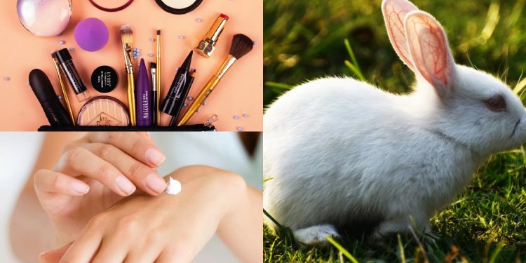 testeo en animales cruelty free cosméticos