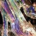 Swarovski ha sido un elemento clave en el mundo del lujo