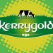 Kerrygold productos lácteos