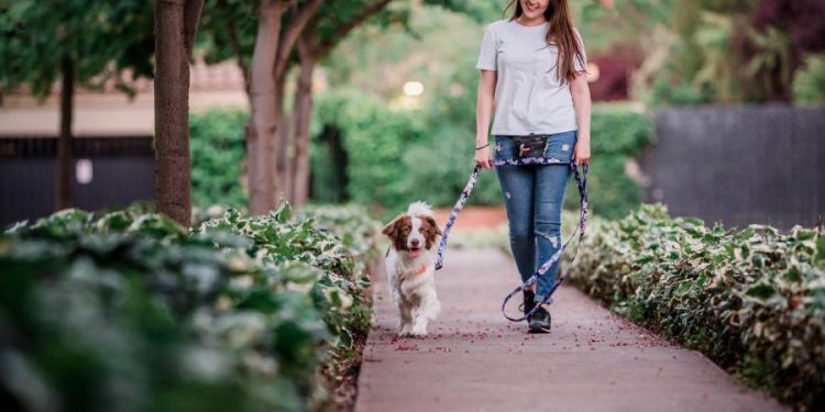 La música y la educación canina: Una valiosa conexión