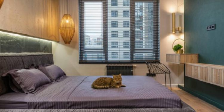 El sector hotelero en España: Crecimiento sostenido y optimismo para 2025