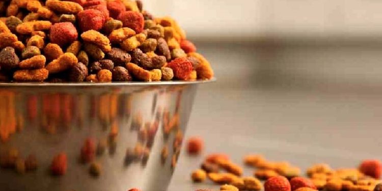 Guía para elegir el mejor pienso para perros y gatos