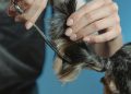 El auge del mercado de mascotas en China y su impacto económico