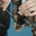 El auge del mercado de mascotas en China y su impacto económico