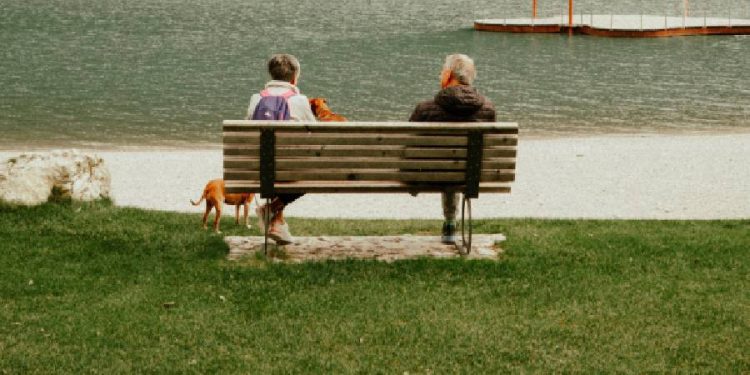 Conéctate con otros dueños de mascotas mientras paseas a tu perro