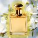 Perfumes que definen la elegancia primaveral