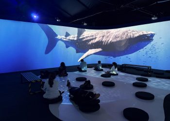 Oceánica, un viaje inmersivo para descubrir y proteger los océanos en Medellín