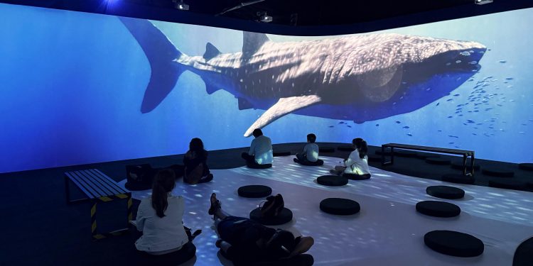 Oceánica, un viaje inmersivo para descubrir y proteger los océanos en Medellín