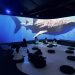 Oceánica, un viaje inmersivo para descubrir y proteger los océanos en Medellín
