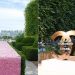 ¡Chanel abrirá un nuevo jardín efímero de 300 m2 en París!