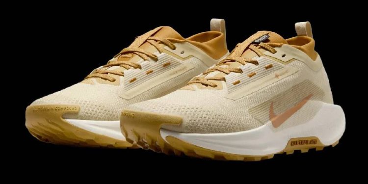 Las Nike Pegasus Trail 5 Gore-Tex son una inversión inteligente para cualquier corredor